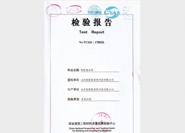 檢測報告